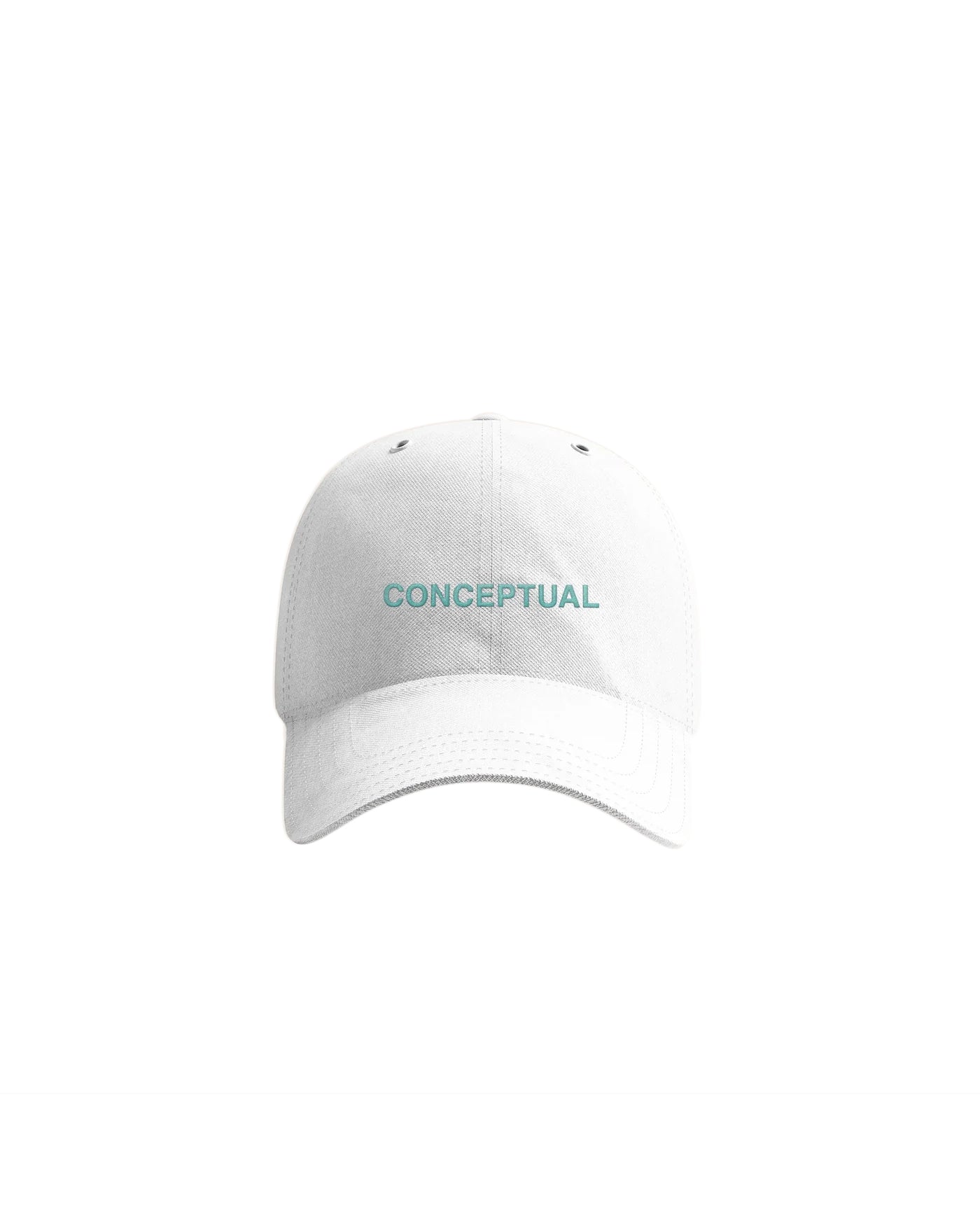 Conceptual Dad Hat